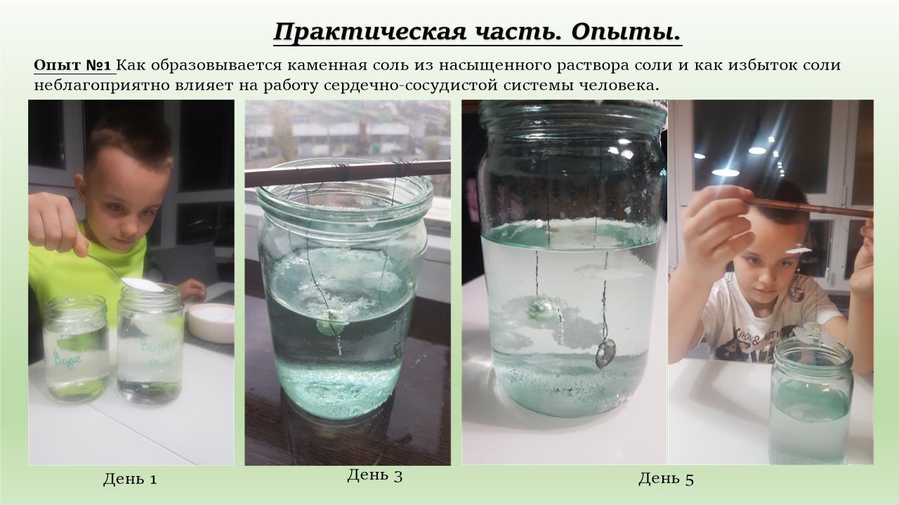 Slide0008