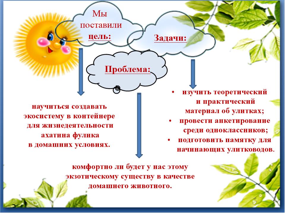 Slide0002