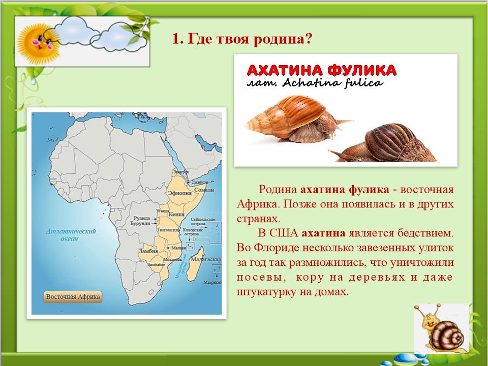Slide0004