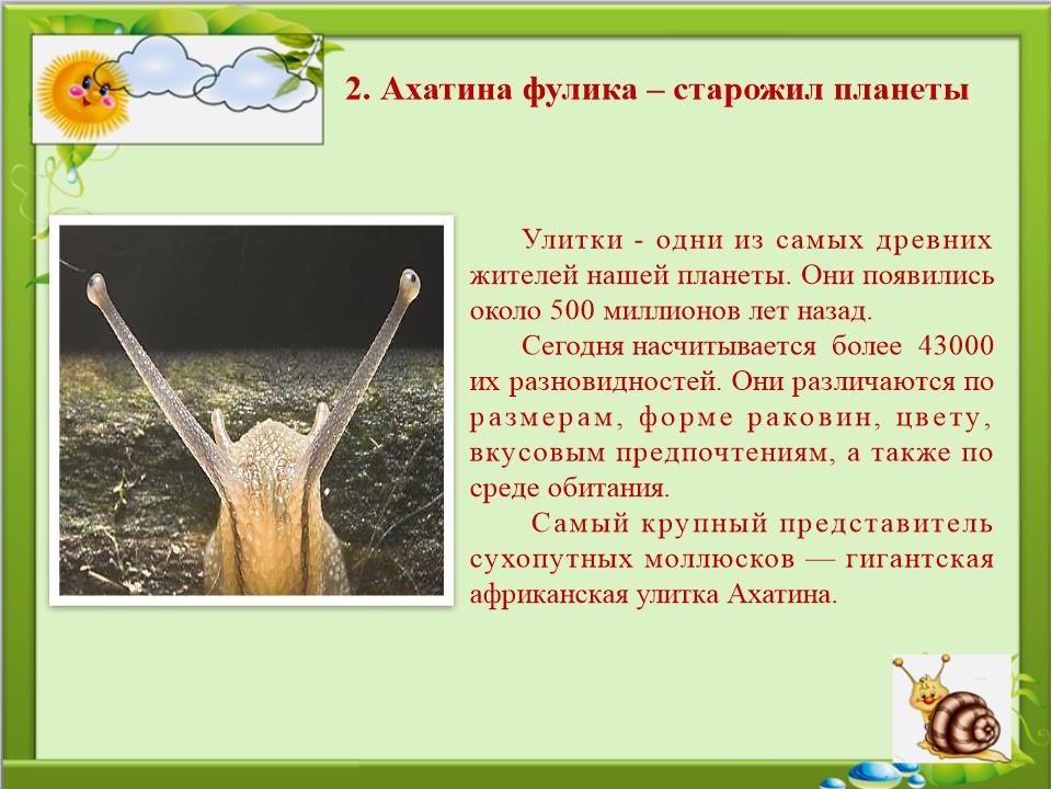 Slide0005