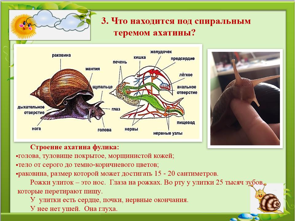 Slide0006