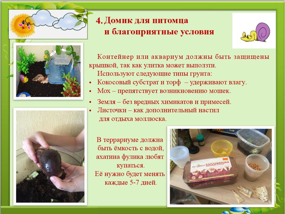 Slide0008