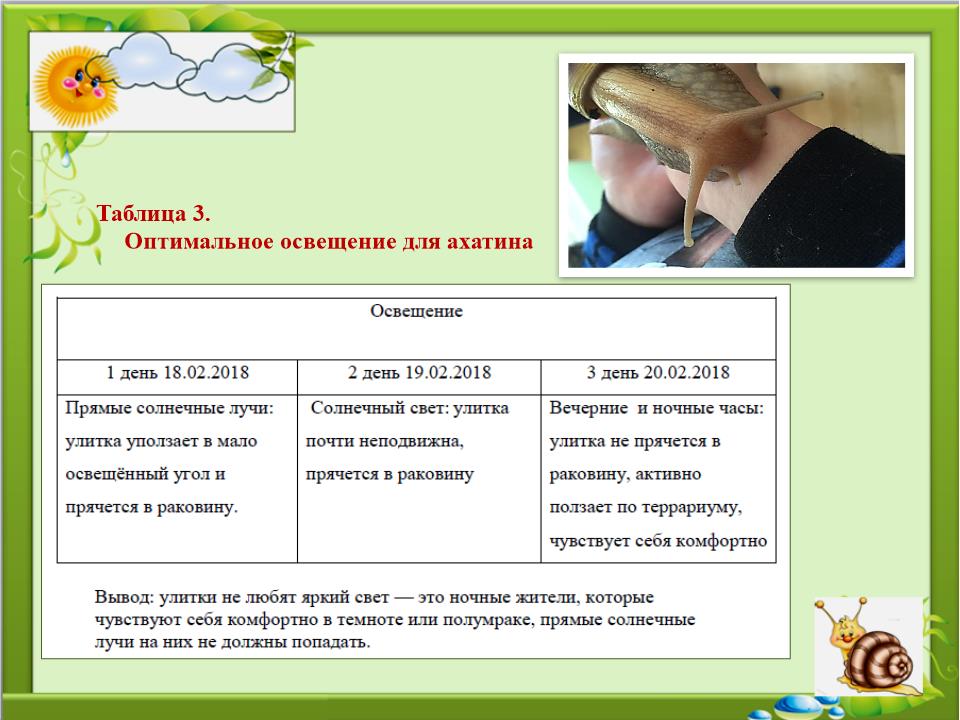 Slide0010