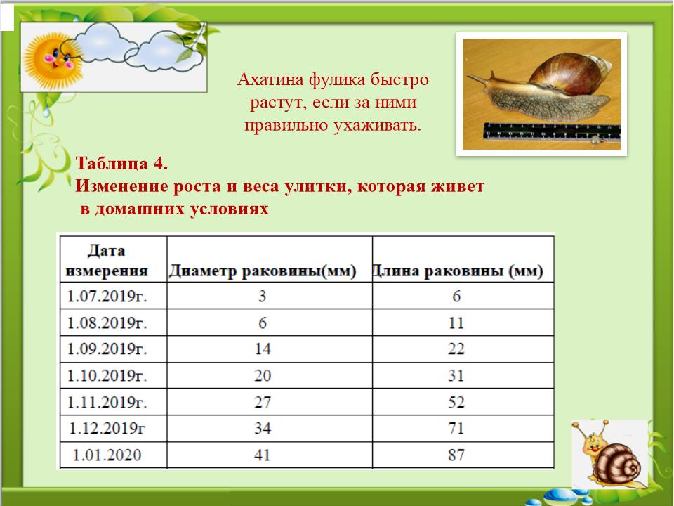 Slide0011