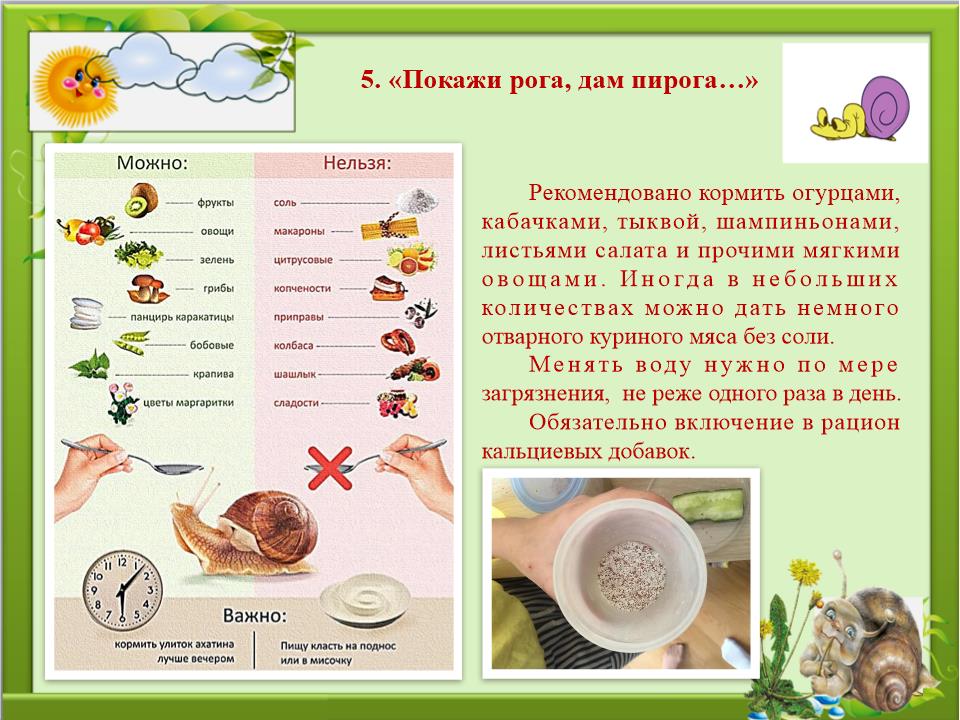 Slide0012
