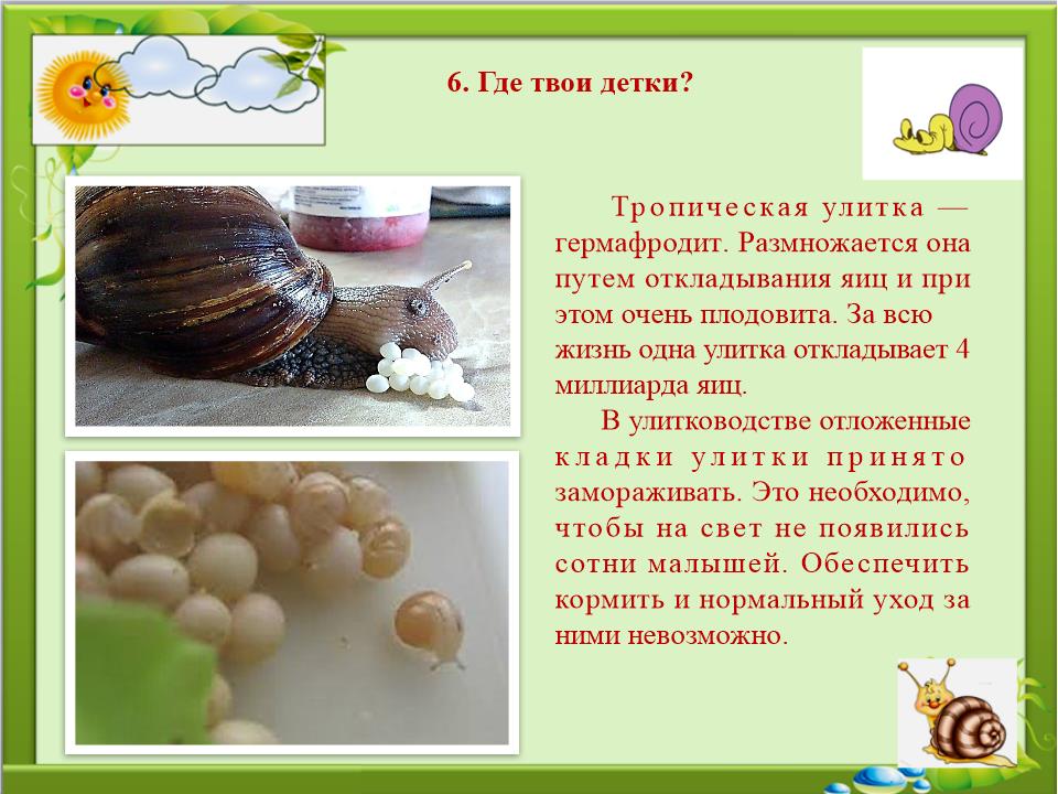 Slide0013