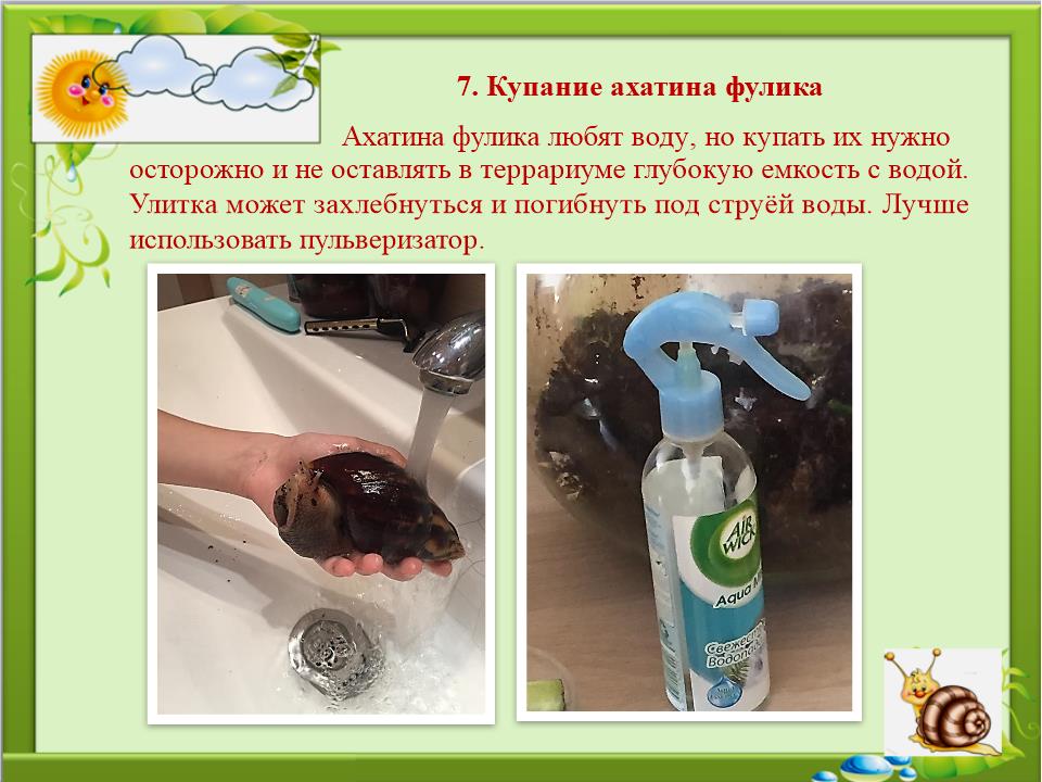 Slide0014