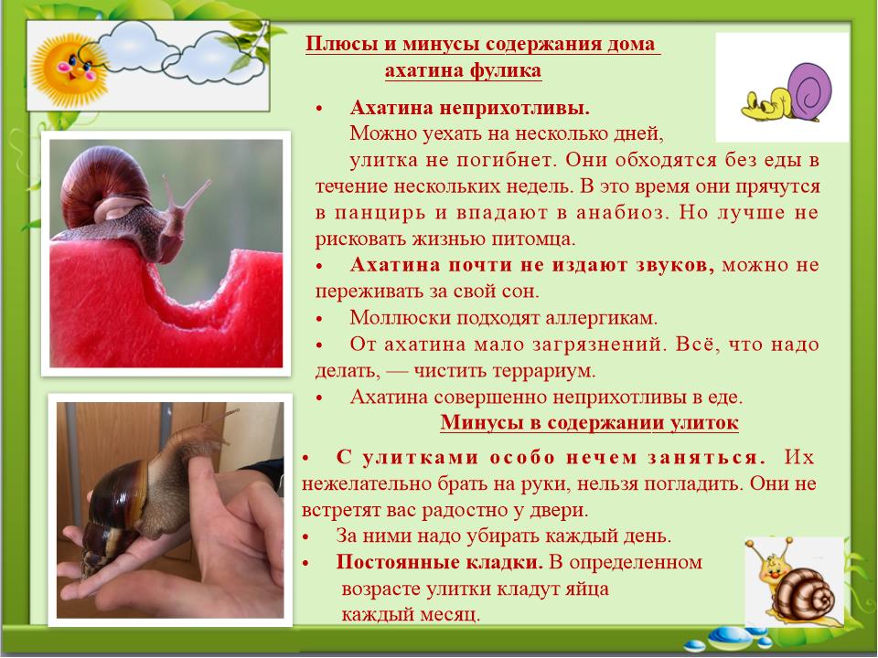 Slide0016