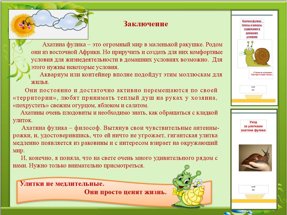 Slide0017